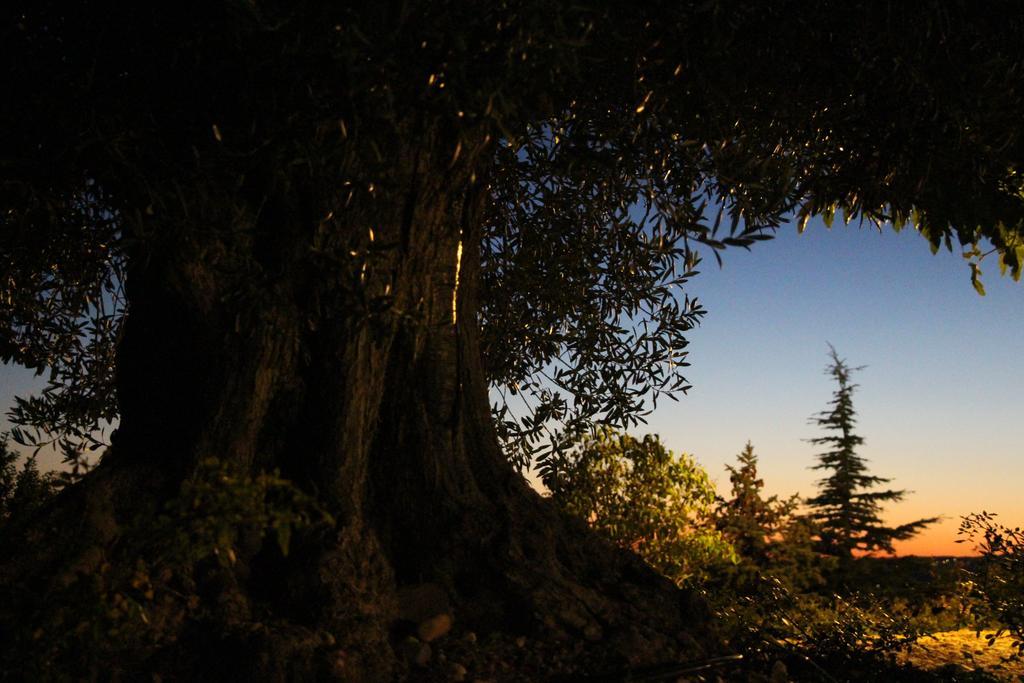 La Campagne De Petre Hotel Entrevennes Luaran gambar