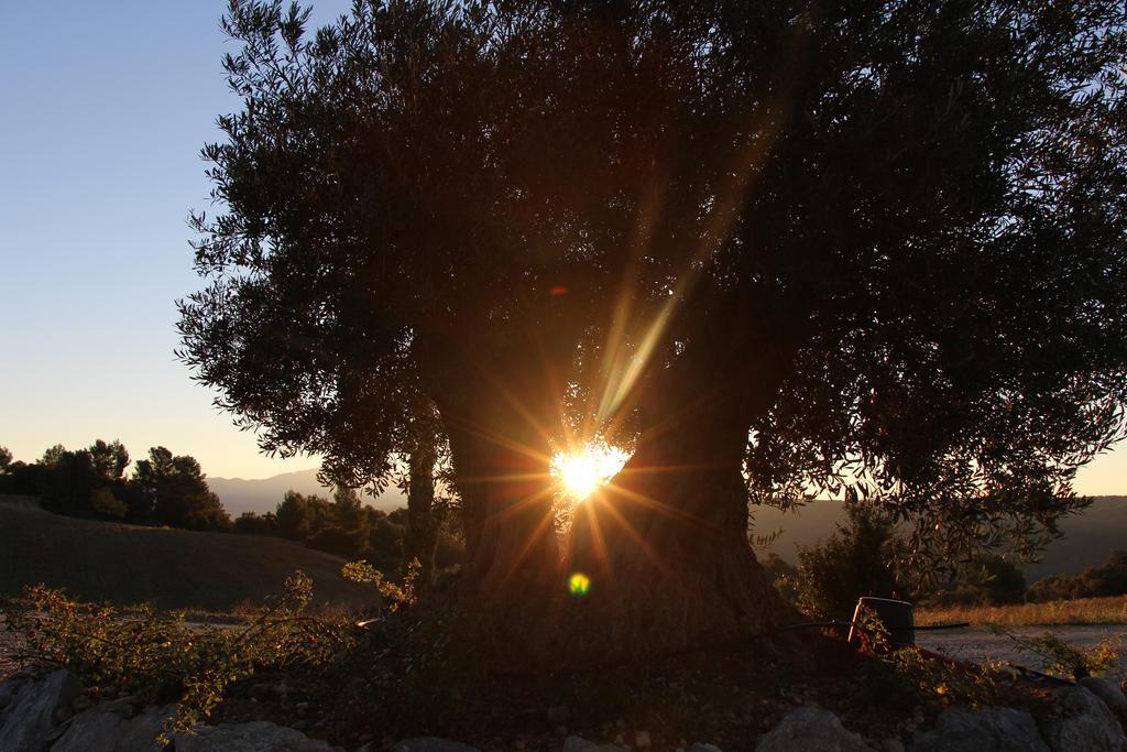 La Campagne De Petre Hotel Entrevennes Luaran gambar